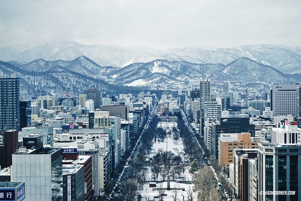 ซัปโปโร-Sapporo ดูดอกซากุระกับ"เทศกาลฮะนะมิ"